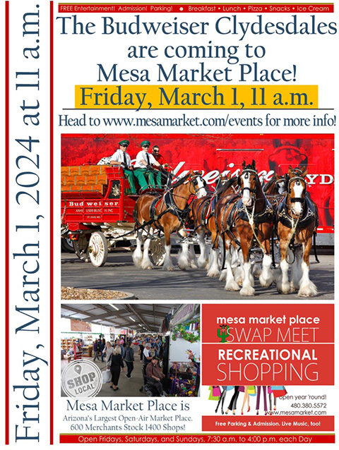 03-01-2024 Bud Clydesdales at Mesa Market Place @ Mesa Market Place Swap Meet | Mesa | Arizona | United States